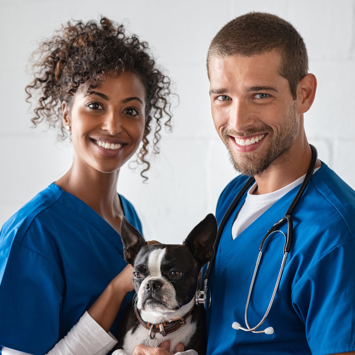 BuddyDrops Veterinarian Case