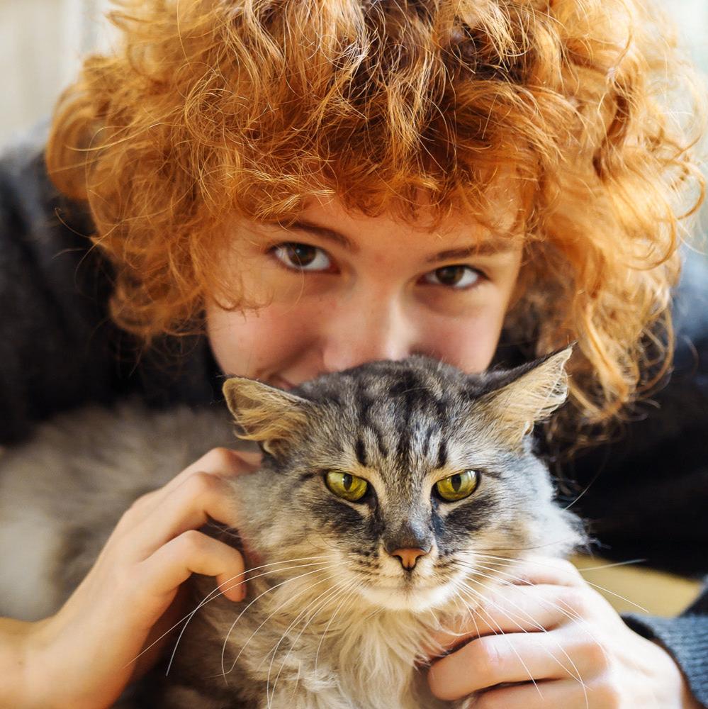 BuddyDrops Veterinarian Sample Pack