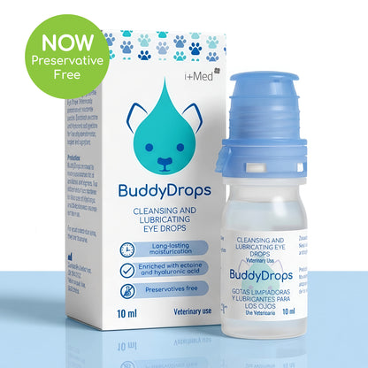 BuddyDrops